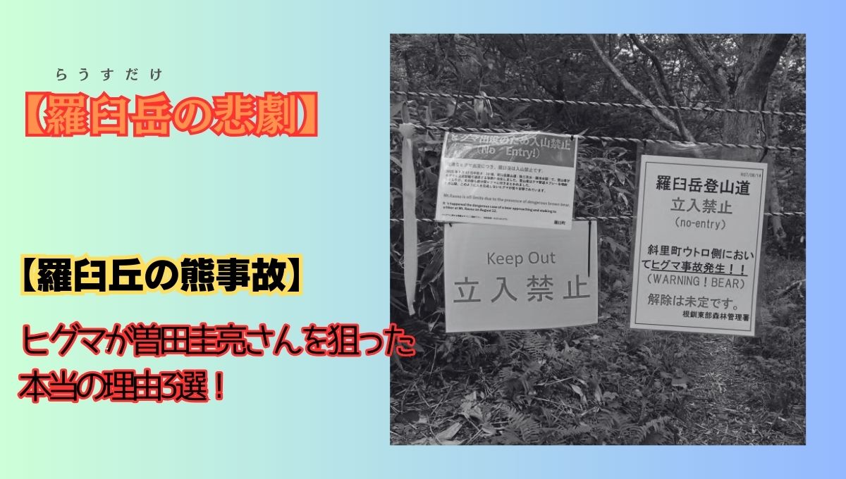 ヒグマ事故のアイキャッチ画像