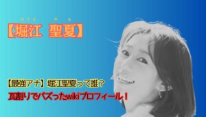 堀江聖夏のプロフィールアイキャッチ画像